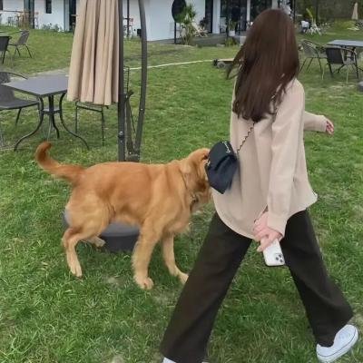 唐娜·芭芭拉
