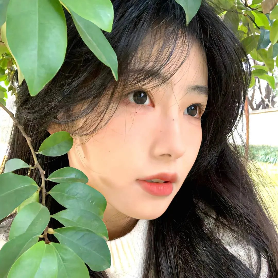 绿色的声音